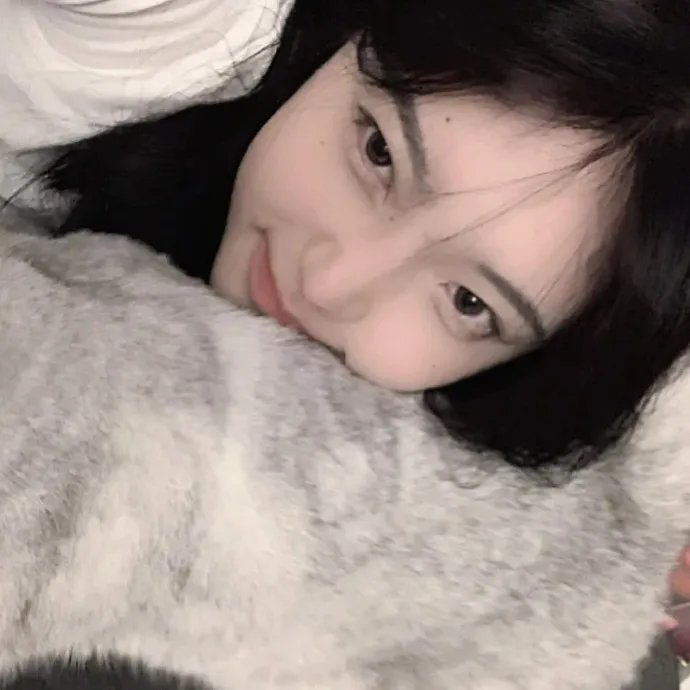群鸟